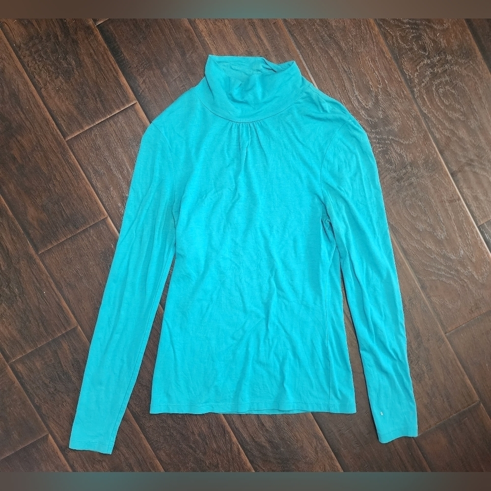 Merona Long Sleeve Stretchy Turtleneck Sweater